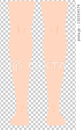 真後ろから見た両脚 130354574