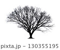 冬の木の添景_枝の美しさが際立つベクターイラスト_建築プレゼン向け 130355195