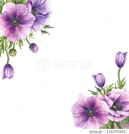 Watercolor Anemone flowers square frame. Purple buds and green leaves of windflowers. Greenery floral clipart for wedding, greeting card template. Hand drawn illustration on isolated white background 130355431