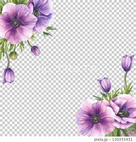 Watercolor Anemone flowers square frame. Purple buds and green leaves of windflowers. Greenery floral clipart for wedding, greeting card template. Hand drawn illustration on isolated white background 130355431