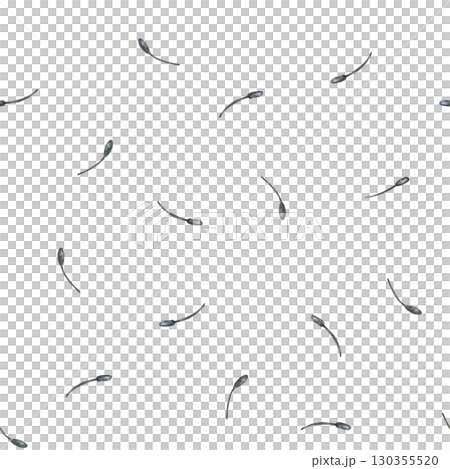 Flower stamens seamless pattern. Watercolor delicate botanical elements of flowers grey seeds. Hand drawn isolated illustration. Repeating background for Floral fabric design, packaging, wallpaper. 130355520