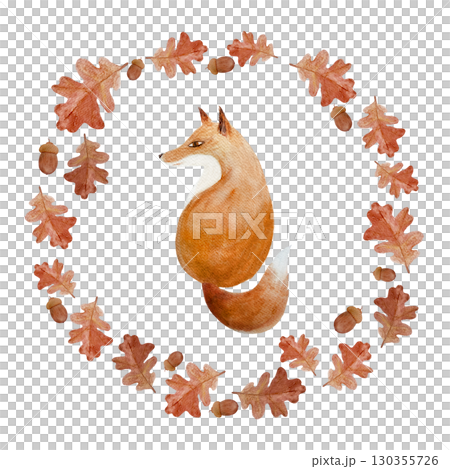 Fox sitting inside wreath of autumn oak leaves and acorns. Watercolor illustration on white. Cozy woodland design, perfect for seasonal cards, invitations, nursery art, and fall decor, stickers Fox sitting inside wreath of autumn oak leaves and acorns. Watercolor illustration on white. Cozy woodland design, perfect for seasonal cards, invitations, nursery art, and fall decor, stickers 130355726