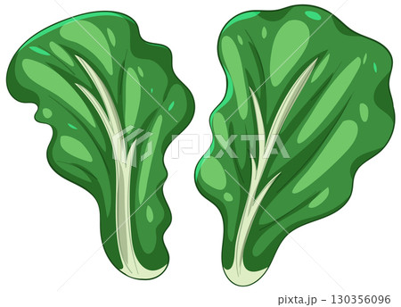 Vibrant Green Leafy Vegetable Illustration Vibrant Green Leafy Vegetable Illustration 130356096