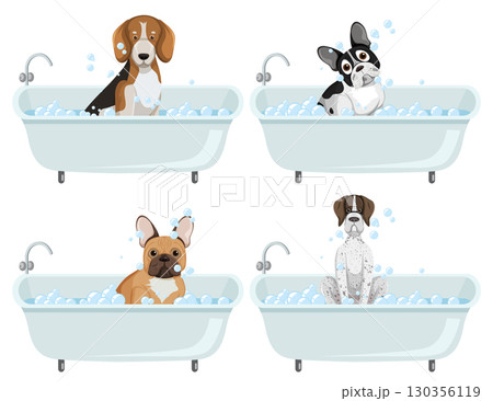 Four Different Dog Breeds Taking Baths in Tubs Four Different Dog Breeds Taking Baths in Tubs 130356119
