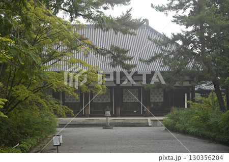 唐招提寺 130356204