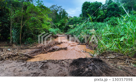 Muddy Flash Flood Stream with Debris in Forest 130357098
