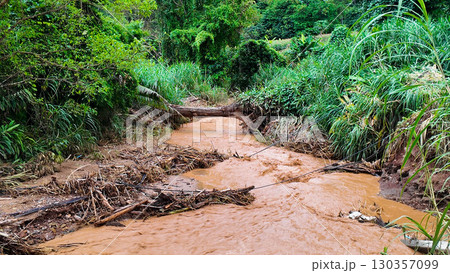 Muddy Flash Flood Stream with Debris in Forest 130357099