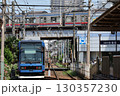 バラが咲き乱れる都電荒川線 130357230