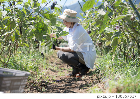 畑で野菜を収穫する愛でる女性　農家や農業で働くする人のイメージ　座る笑顔の全身 130357617