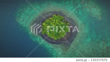 Lush green vegetation covers small tropical island and vibrant coral reef in crystal clear turquoise ocean water, creating a breathtaking aerial view. Amazing nature travel background. Zoom out flight Lush green vegetation covers small tropical island and vibrant coral reef in crystal clear turquoise ocean water, creating a breathtaking aerial view. Amazing nature travel background. Zoom out flight 130357970