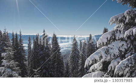 Aerial drone view gliding over a breathtaking expanse of snowy fir trees in a majestic mountain forest, basking in the warm morning sun against a clear blue sky. Winter wild nature travel background Aerial drone view gliding over a breathtaking expanse of snowy fir trees in a majestic mountain forest, basking in the warm morning sun against a clear blue sky. Winter wild nature travel background 130357985