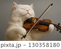 白猫（ペルシャ猫）がバイオリンを演奏する 130358180