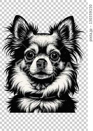 Chihuahua illustration Chihuahua illustration 130359150
