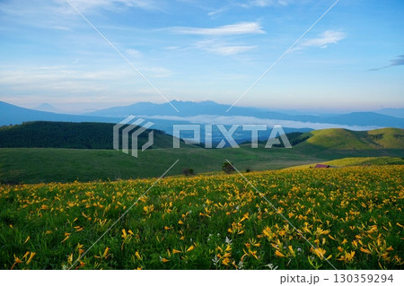 富士山と南アルプスを背景にニッコウキスゲの花に埋め尽くされる霧ヶ峰富士見台からの風景　Ver3 130359294