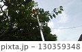 25年の梅の収穫 130359348
