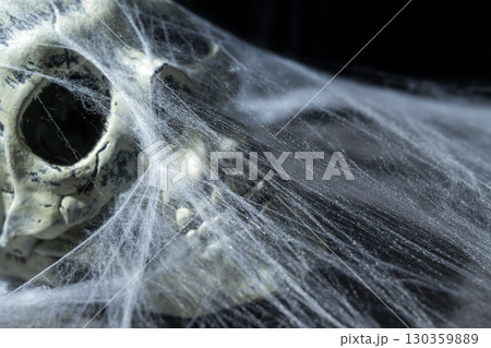 Human skull head covered with spiderwebs. The human skull, devil, evil, or zombie head. Scene of a dark and scary. Halloween concept 130359889