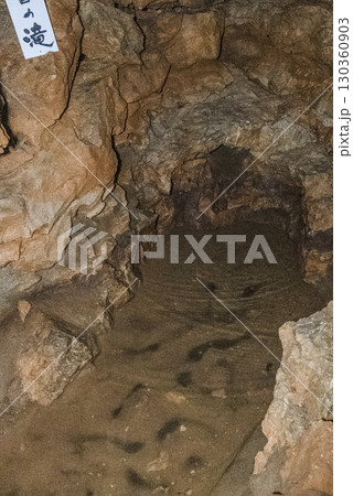 縄文鍾乳洞（岐阜県郡上市）内部 130360903