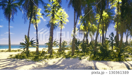 A beautiful beach setting showcases tall palm trees swaying gently in the breeze. Lush greenery thrives beneath the clear blue sky and bright sunlight, creating a tranquil atmosphere. 130361389