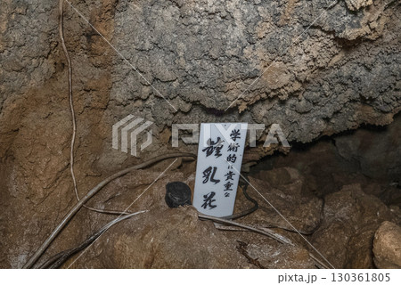 縄文鍾乳洞（岐阜県郡上市）内部 130361805