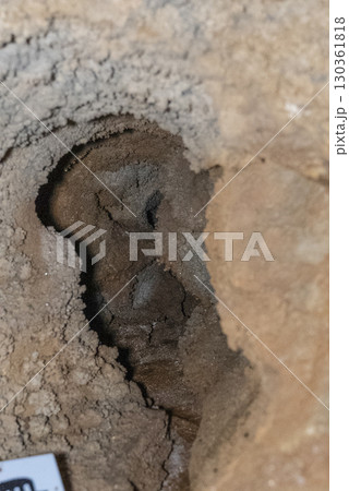 縄文鍾乳洞（岐阜県郡上市）内部 130361818