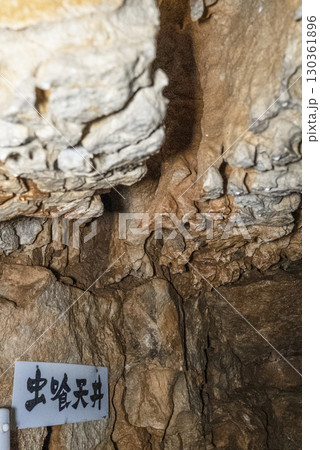 縄文鍾乳洞（岐阜県郡上市）内部 130361896