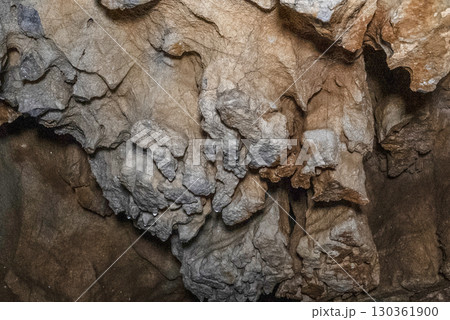 縄文鍾乳洞（岐阜県郡上市）内部 130361900