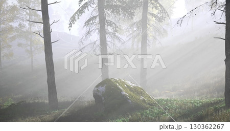 A tranquil forest is filled with mist as sunlight breaks through the branches of tall trees. A large moss covered rock sits among the vibrant greenery, adding to the serene atmosphere. 130362267