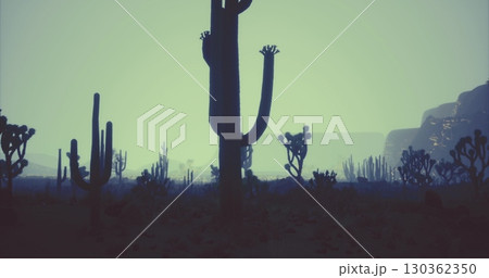 Beneath a dusky sky, tall cacti tower over the desert terrain. Dark silhouettes fill the foreground, while distant mountains fade into the misty horizon. Natures tranquility prevails. 130362350