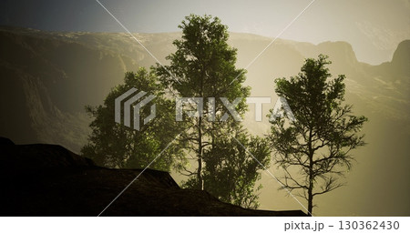 Tall trees rise proudly against a soft, golden glow emerging from the background. The tranquil morning light highlights their lush green leaves, creating a peaceful atmosphere in nature. Tall trees rise proudly against a soft, golden glow emerging from the background. The tranquil morning light highlights their lush green leaves, creating a peaceful atmosphere in nature. 130362430