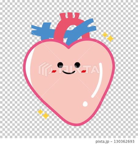 Human organ character: healthy heart 130362693
