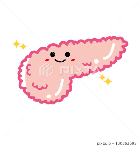 人の臓器キャラクター 健康な膵臓 人の臓器キャラクター 健康な膵臓 130362695