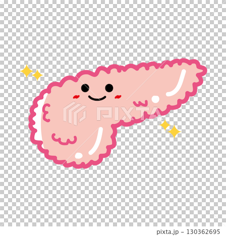 人の臓器キャラクター 健康な膵臓 人の臓器キャラクター 健康な膵臓 130362695