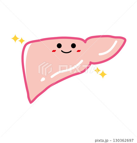 人の臓器キャラクター　健康な肝臓 130362697