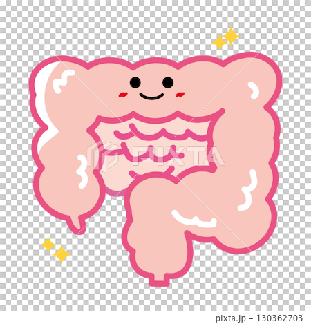 Human organ character: healthy intestine 130362703