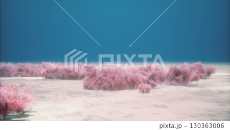 Vibrant coral formations flourish in the clear blue depths of the ocean. The tranquil underwater landscape presents a mesmerizing view of natures artistry, inviting exploration. 130363006