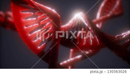 Crimson strands twist and turn elegantly, revealing the intricate architecture of DNA. The luminescence highlights details, showcasing the elegance of genetic material at a microscopic level. Crimson strands twist and turn elegantly, revealing the intricate architecture of DNA. The luminescence highlights details, showcasing the elegance of genetic material at a microscopic level. 130363026