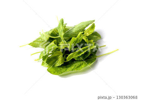 Holy basil leaves on white background. Holy basil leaves on white background. 130363068