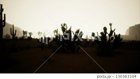 Golden light filters through the desert landscape as dusk settles, highlighting the silhouettes of various cacti and rocky formations in the distance, creating a serene atmosphere. Golden light filters through the desert landscape as dusk settles, highlighting the silhouettes of various cacti and rocky formations in the distance, creating a serene atmosphere. 130363104