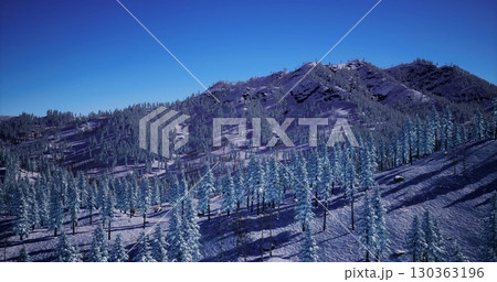 A breathtaking winter view showcases majestic mountains blanketed in snow. Tall pine trees densely populate the gentle slopes, creating a serene and tranquil atmosphere under a clear blue sky. 130363196