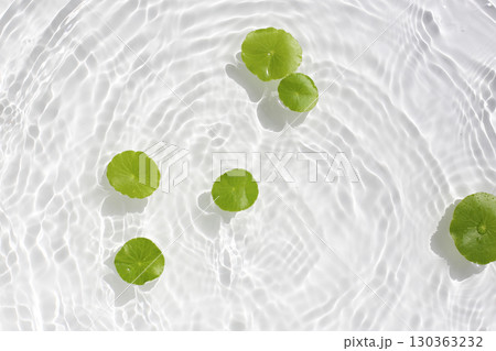 Green centella leaves floating gently in clear rippling water. 130363232