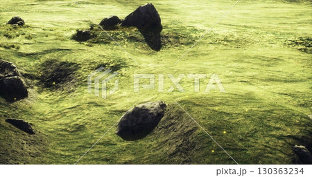 A vibrant green landscape stretches into the distance, with gentle hills and scattered rocks creating a serene and captivating atmosphere. Soft light casts delicate shadows across the terrain. 130363234