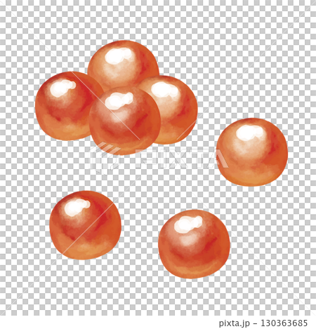 部分：鮭魚籽水彩插圖 130363685