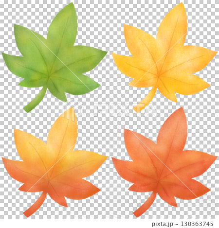青葉から色づいていく紅葉のイラスト 130363745