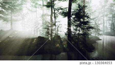 Light filters through trees in a peaceful forest as mist rises from the water. The atmosphere is calm and ethereal, inviting tranquility and reflection in nature. 130364053