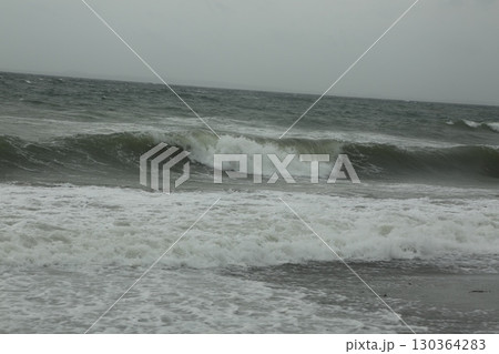 保田海岸を歩いた 保田海岸を歩いた 130364283