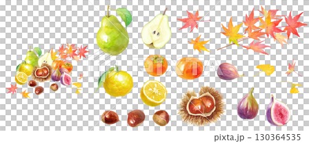 紅葉を背景にした秋冬のフルーツの集合の水彩イラスト。構成要素のアソート。 130364535