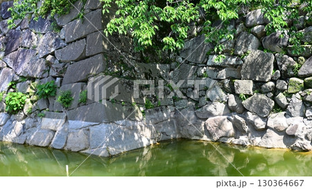 唐津城：肥後堀　(佐賀県唐津市) 130364667