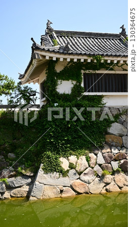 唐津城：肥後堀　(佐賀県唐津市) 130364675