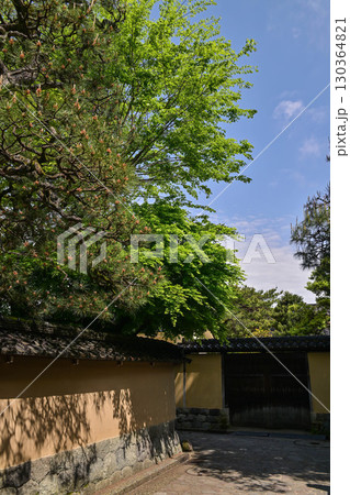 青空が広がる長町武家屋敷跡の春 130364821