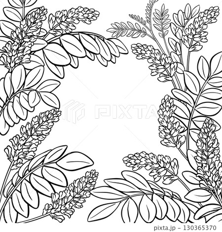 Licorice Branch with Flowers Outline Frame 130365370